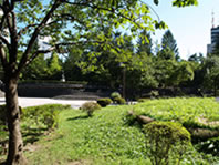 錦町公園