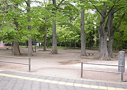 勝山公園